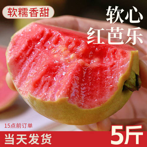 广西软糯红心芭乐5斤新鲜水果