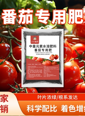 西红柿专用肥料番茄种菜肥料花肥颗粒缓释肥庭院盆栽绿色健康底肥