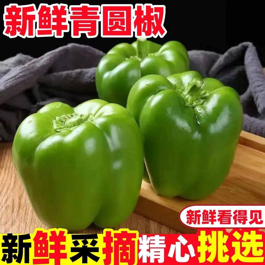 新鲜青椒山东蔬菜柿子椒甜椒圆椒五彩灯笼椒太空水果辣椒清脆爽口