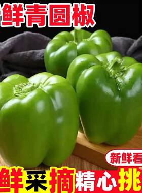 新鲜青椒山东蔬菜柿子椒甜椒圆椒五彩灯笼椒太空水果辣椒不辣现摘