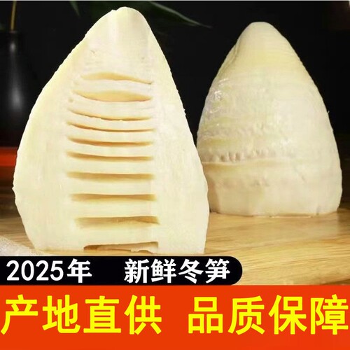 江西竹笋新鲜嫩笋片景免泡