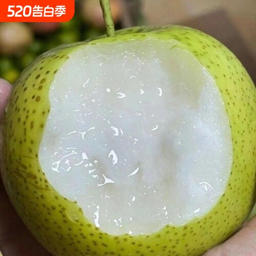 砀山青梨皇冠梨新鲜水果特产香甜脆现摘梨子产地直发酥脆多汁