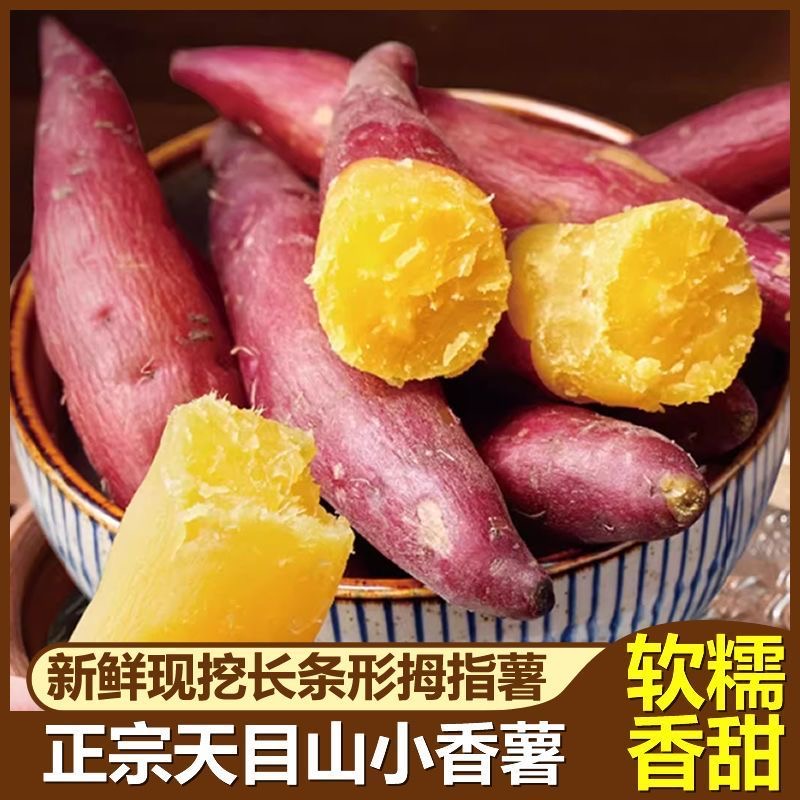 正宗天目农家板栗番薯