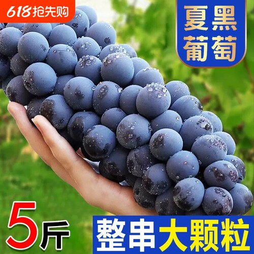 空运葡萄现摘夏黑无籽黑蜜整串装新鲜水果非巨峰黑