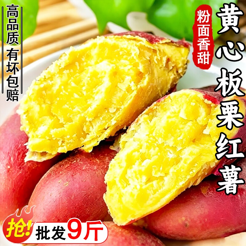 板栗红薯正宗黄心板栗味新鲜蔬菜地瓜粗粮番薯山芋粉糯香甜自提