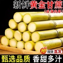包邮 云南黄金甘蔗9斤当季 新鲜脆甜黄皮甘蔗中段热带水果正宗特产