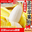 小米芭蕉 正宗苹果粉蕉banana香蕉新鲜3 8斤苹果蕉青皮自然熟当季