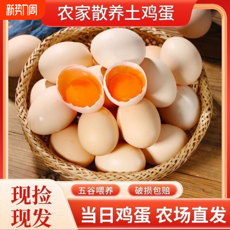 新鲜散养土鸡蛋约50g/枚农家月子蛋新鲜早餐现捡现发谷物喂养