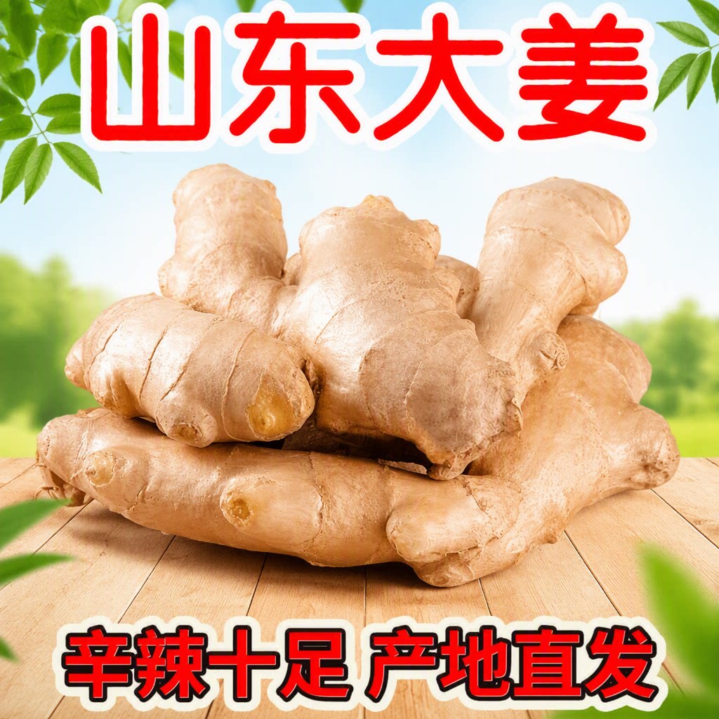 山东大姜生姜老姜风干姜新鲜老黄姜1斤3斤5斤包邮农场当季食用