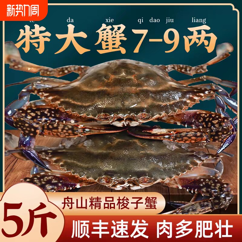 梭子蟹鲜活特大野生舟山大螃蟹海鲜新鲜冷冻海蟹水产飞蟹顺丰配送
