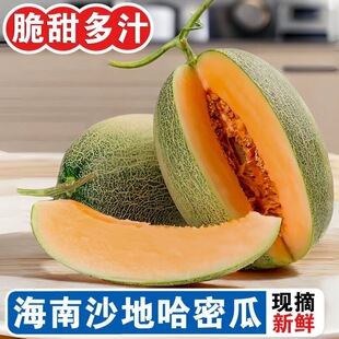 正宗海南哈密瓜新鲜网纹西州蜜脆甜多汁孕妇可食当季新鲜水果整箱
