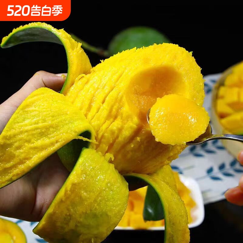 新鲜精品纯甜当季芒果新鲜无丝芒果应季整箱脆甜孕妇水果清香包邮