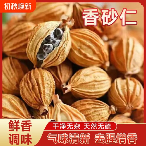 香砂仁川砂仁中药材官方旗舰店干净卤肉炖肉沙仁烧菜卤肉料家用