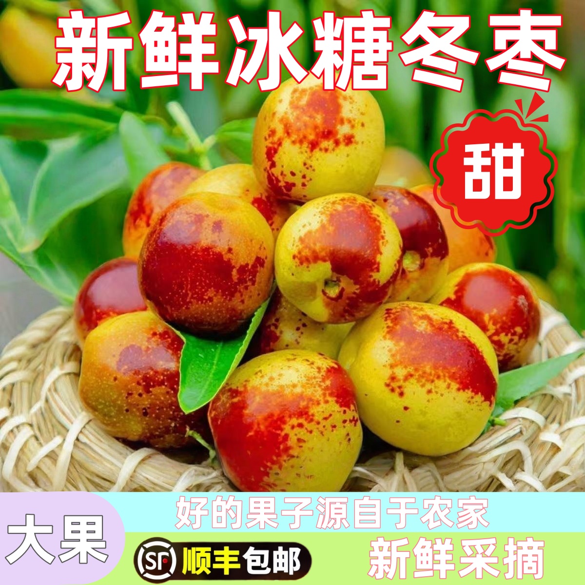顺丰包邮正宗冬枣新鲜大果应季整箱枣子现摘脆枣冰糖大枣当季水果