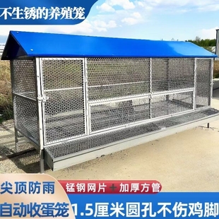 鸡笼子家用室外防雨自动收蛋防啄防防鼠加厚下蛋养殖笼带厕所简易