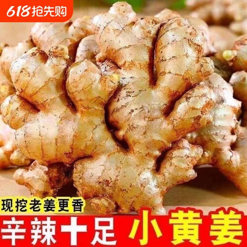 贵州小黄姜生姜老姜嫩姜种辛辣