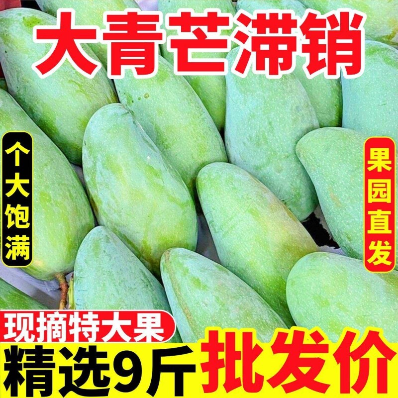 云南大青芒芒果新鲜水果9斤现摘特大果青皮金煌芒当季大芒果整箱