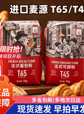新良大师T65法式面包粉