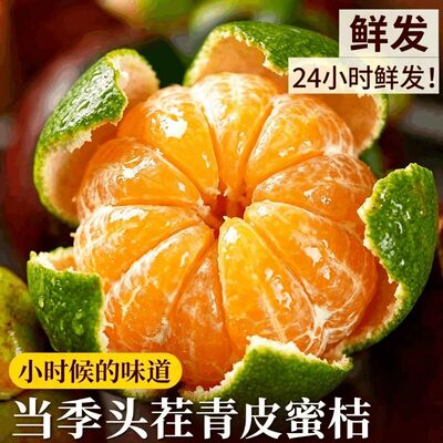 云南青皮蜜橘新鲜水果现摘孕妇桔子柑橘当季无籽酸甜薄皮整箱新鲜