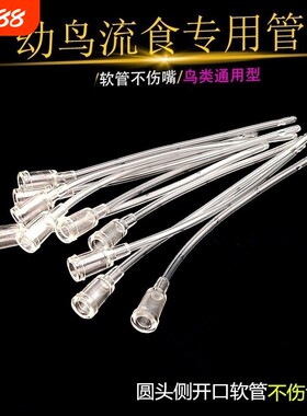 雏鸟喂食器幼鸟手养喂奶喂药工具玄风鹦鹉虎皮八哥打奶软管不伤鸟