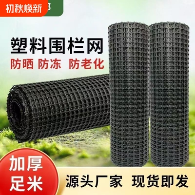 塑料围栏网养殖菜园栅栏