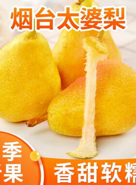 山东烟台太婆梨香蕉梨茄梨新鲜当季水果老婆梨丑伏梨脆甜软硬