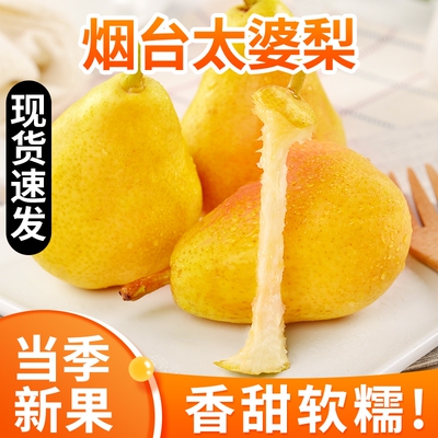 山东烟台太婆梨香蕉梨茄梨新鲜当季水果老婆梨丑伏梨脆甜软硬