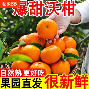 广西武鸣沃柑自然高甜果肉细嫩化渣多汁橘子新鲜包邮9斤当季现摘