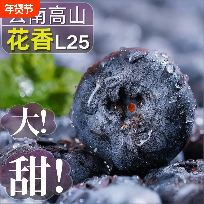云南蓝莓鲜果新鲜水果当季怡颗高山L25花香孕妇整箱包邮现摘,水产肉类/新鲜蔬果/熟食,蓝莓,淘宝优惠券,粉丝福利购,淘宝优惠卷