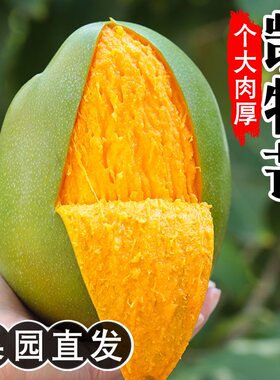 凯特芒果正宗应季水果新鲜批发价批发大青芒特大整箱包邮热带果肉