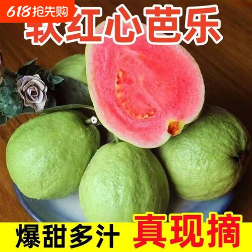 红心番石榴芭乐爆甜多汁真现摘新鲜水果软奶油糯应季脆甜胭脂红