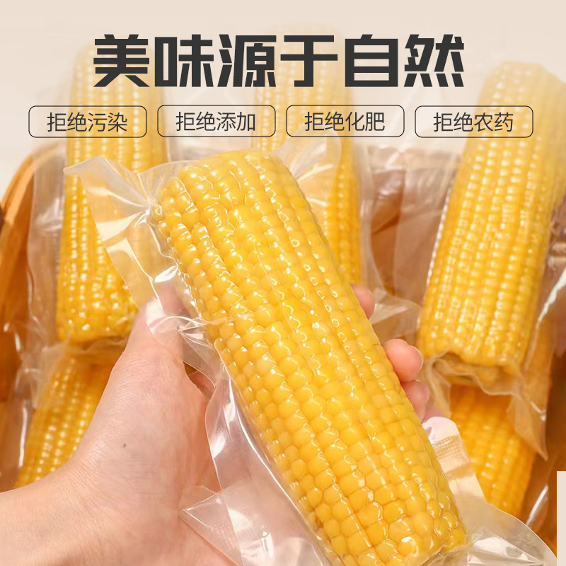 2025年新东北黄糯玉米真空包装新鲜早餐香粘粘黄糯苞米粗粮