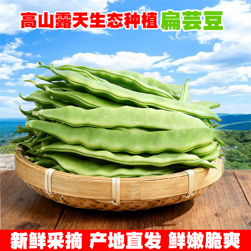 云南现摘扁豆角新鲜蔬菜鲜嫩脆