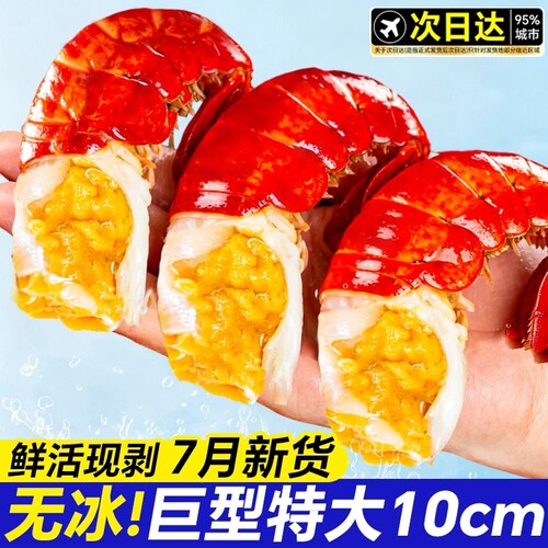 龙虾尾特大号无冰衣小龙虾鲜活冷冻生鲜液氮虾球鲜冻商用批发整箱