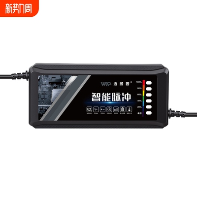 电动车电瓶充电器48v12ah60v20a72v适用于爱玛雅迪三轮铅酸石墨烯