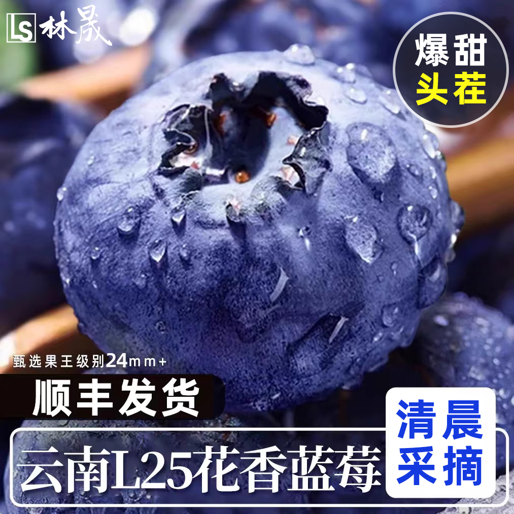 云南高山花香蓝莓头茬鲜果特大果怡佳颗沃应当季水果整箱顺丰
