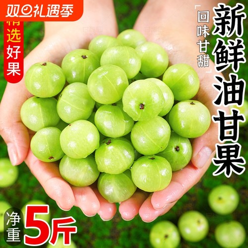 潮汕普宁崩坎甜油柑新鲜油甘果牛甘果余甘果滇橄榄甜种甜油甘包邮