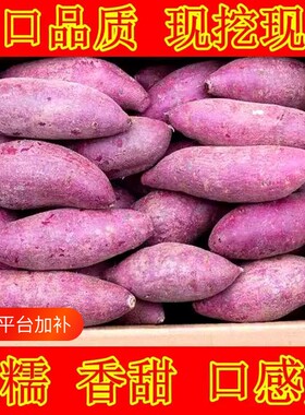 2026年新鲜现挖紫薯辅食紫罗兰红薯沙地番薯地瓜粉糯香甜蔬菜批发