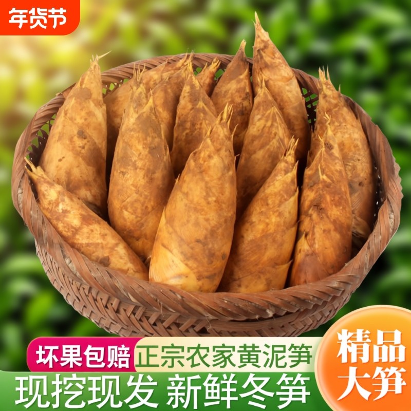 冬笋新鲜黄泥嫩笋带壳毛竹笋尖现挖现发高山野生农家蔬菜火锅配菜,水产肉类/新鲜蔬果/熟食,竹笋,淘宝优惠券,粉丝福利购,淘宝优惠卷