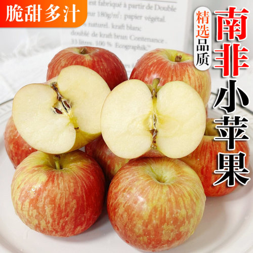 南非牛顿小苹果新鲜水果当季进口嘎啦富士红冰糖苹果整箱糖心脆甜
