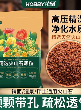 火山石颗粒多肉兰花专用颗粒土铺面石鱼缸滤材火山岩花盆造景养花