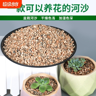 天然河沙沙子粗沙细沙沙土种花土壤种植土鱼缸底沙黄沙沙石营养土