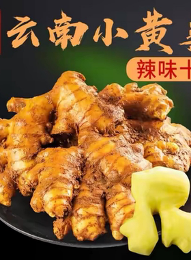新鲜姜香浓郁云南小黄姜新鲜现挖生姜老姜嫩姜仔姜特级姜整箱批发