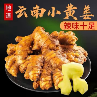 新鲜姜香浓郁云南小黄姜新鲜现挖生姜老姜嫩姜仔姜特级姜整箱批发