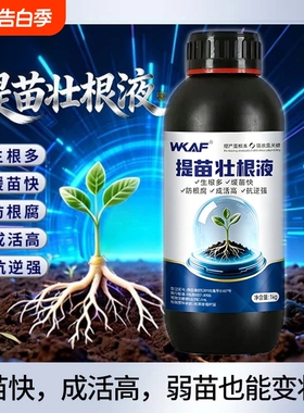 提苗壮根液爆发农作物新根群冲施灌根见效快苗壮防僵苗中量元素品
