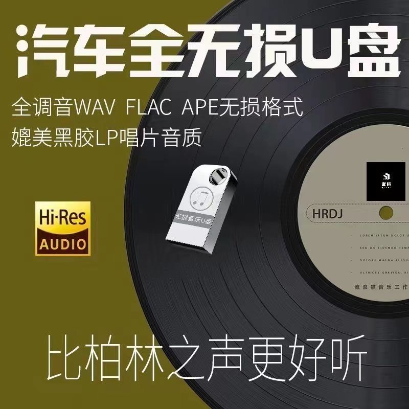 车载u盘音乐2024无损高音质dj歌曲手机电脑通用优盘汽车用品mp3 闪存卡/U盘/存储/移动硬盘 普通U盘/固态U盘/音乐U盘 原图主图