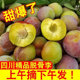 李子正宗四川茵红李脱骨新鲜现摘脆甜当季水果半边红青脆李脆红李