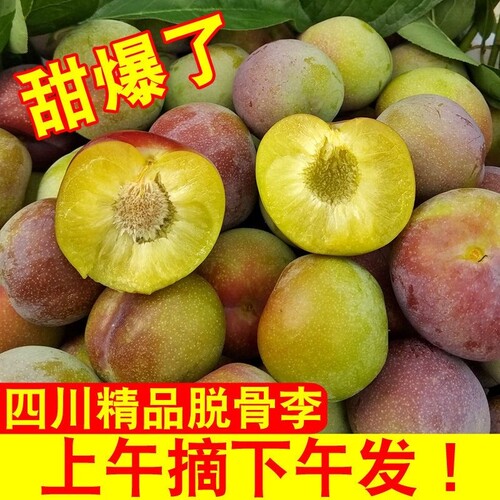 四川茵红李5斤脆甜|超1000次加购