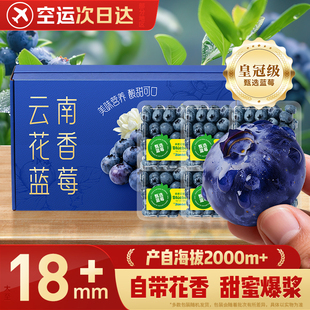 云南蓝莓 花香蓝莓超大新鲜蓝莓L25水果送礼礼盒 多地次日达