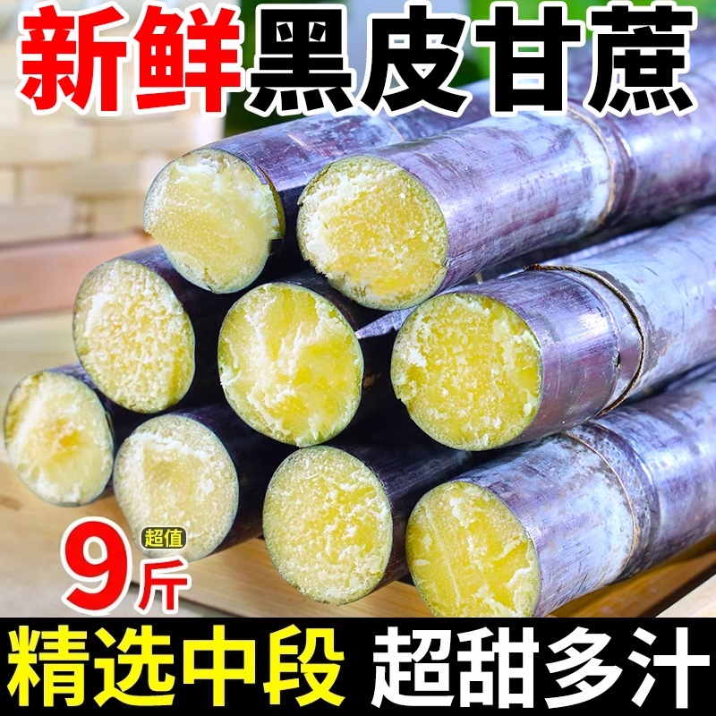 正宗广西黑皮甘蔗成熟脆甜多汁！